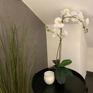 Eine Schoene An Der Birs Appartement Bâle